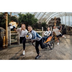 參加 >> 傷殘健全越野人力車接力環港島