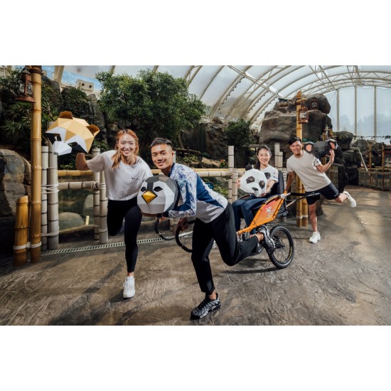 參加 >> 傷殘健全越野人力車接力環港島